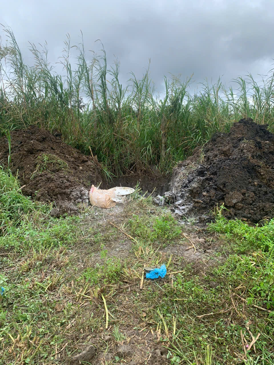 z6092630216221_b0b6dc64b06bf72cc7e9dc1175779589