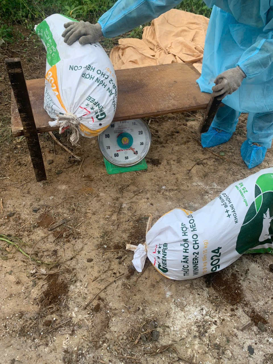 z6092630466110_7720df73f44c5a7ec2123360d744cf71