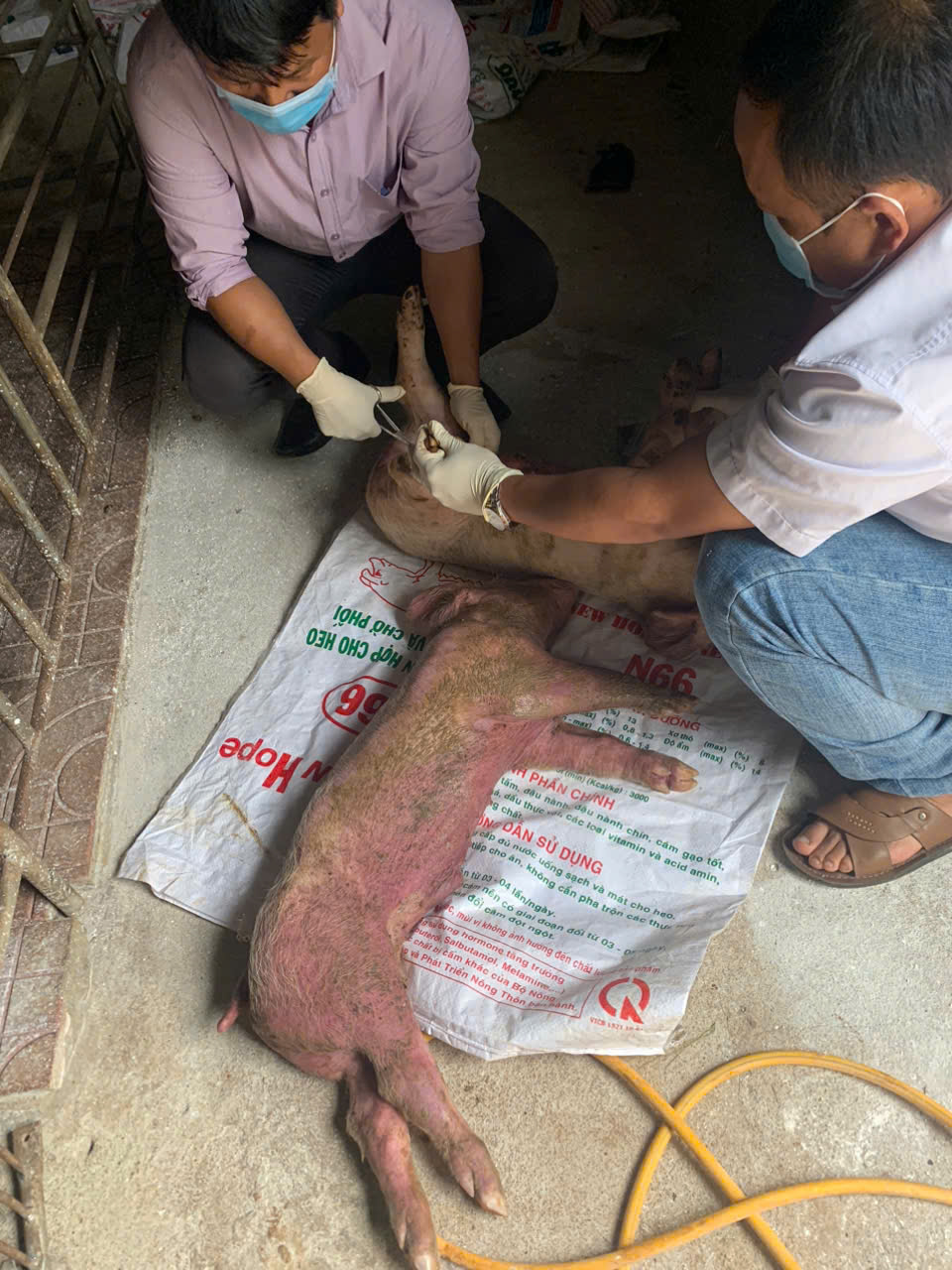 z6092630468688_761ca705d71389ac1e1c697af4fee361