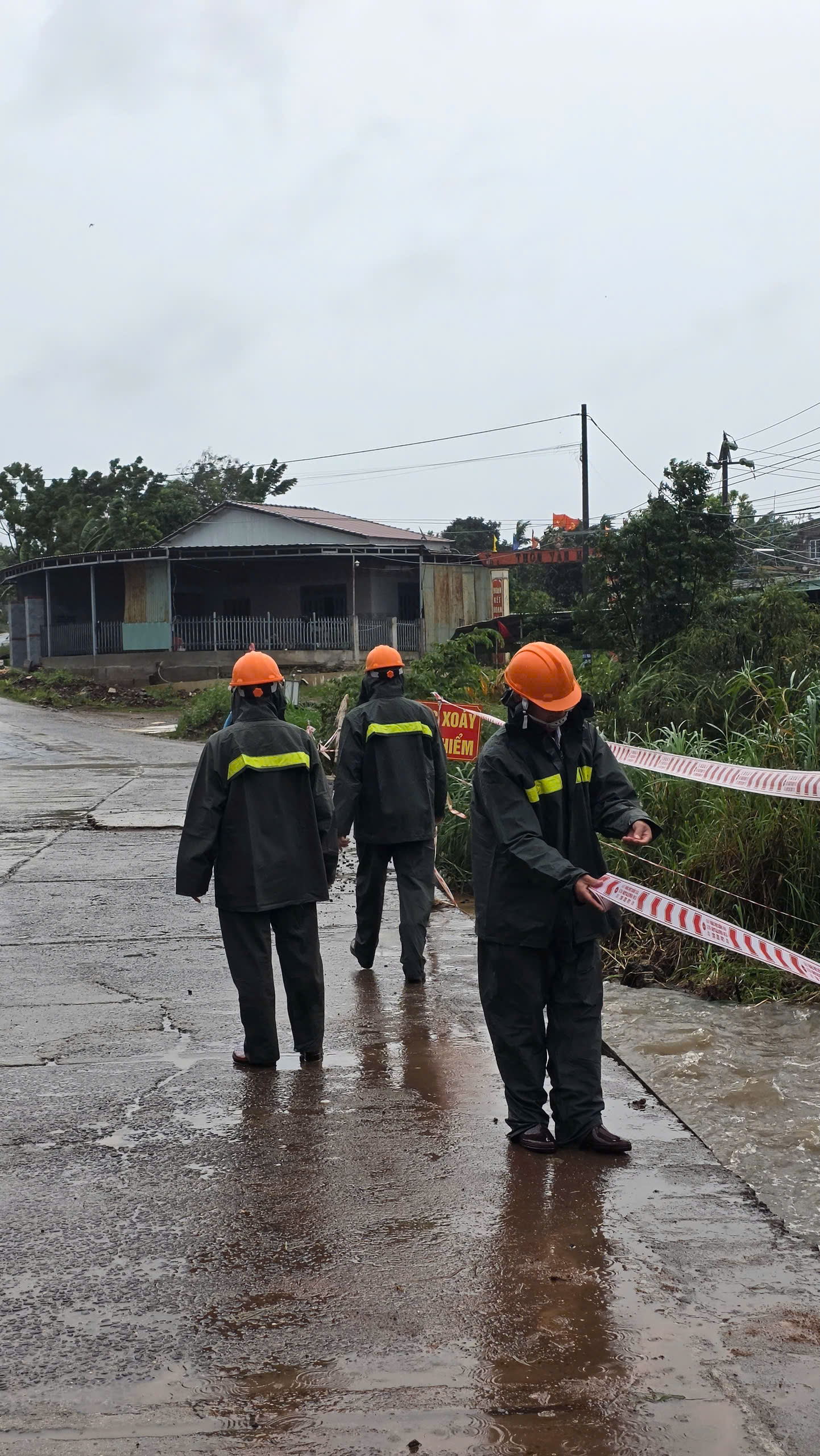 z7195846129447_fda7f8f5a88df527d1929b1e53d69a19