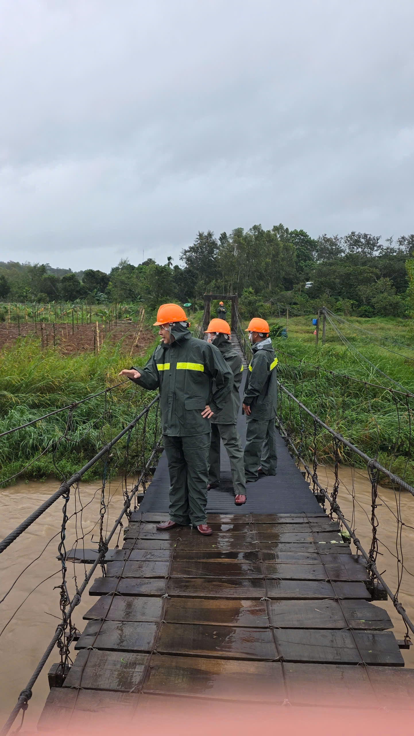 z7195892023303_17fe6311fd44f51e9cd1928afc6d5c79