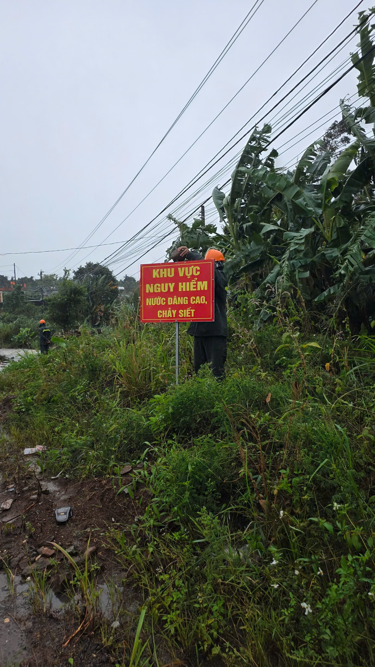 z7195892033635_92032d8fabfcf203bb13ed99783501e4